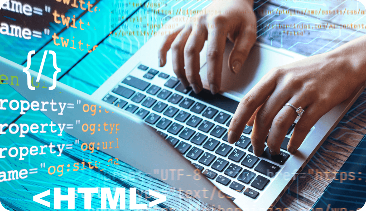 UI/UX Web Training